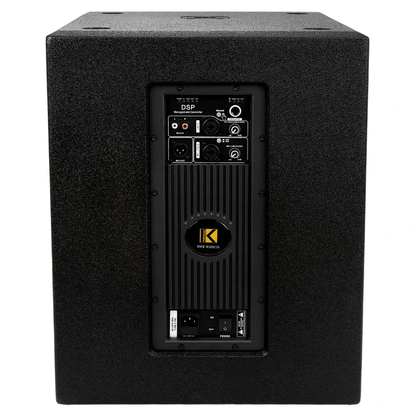 SYSTÈME AMPLIFIÉ SUBWOOFER/ENCEINTE DE 1600W
