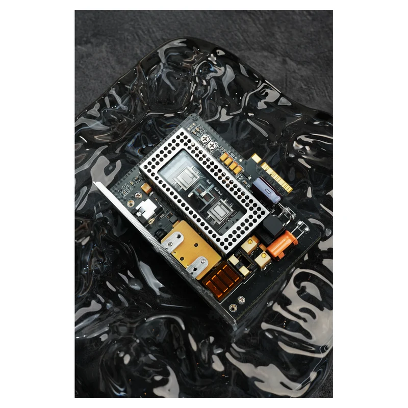 AMP19