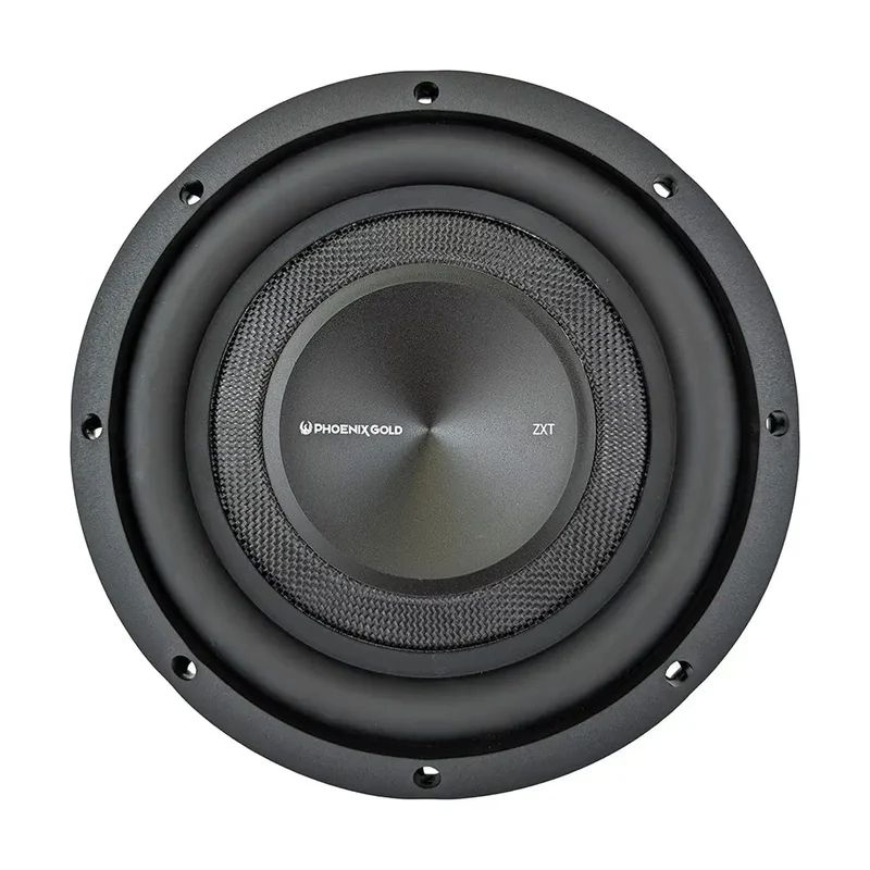 PHOENIX GOLD ZXT10PR – Radiateur passif 10" pour caisson compact