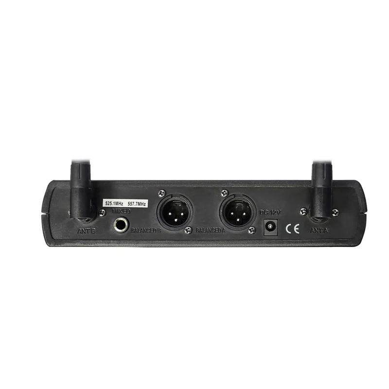 ENSEMBLE RÉCEPTEUR AVEC 2 MICROPHONE MAIN ET BOITIER RÉCEPTEUR SANS FILS