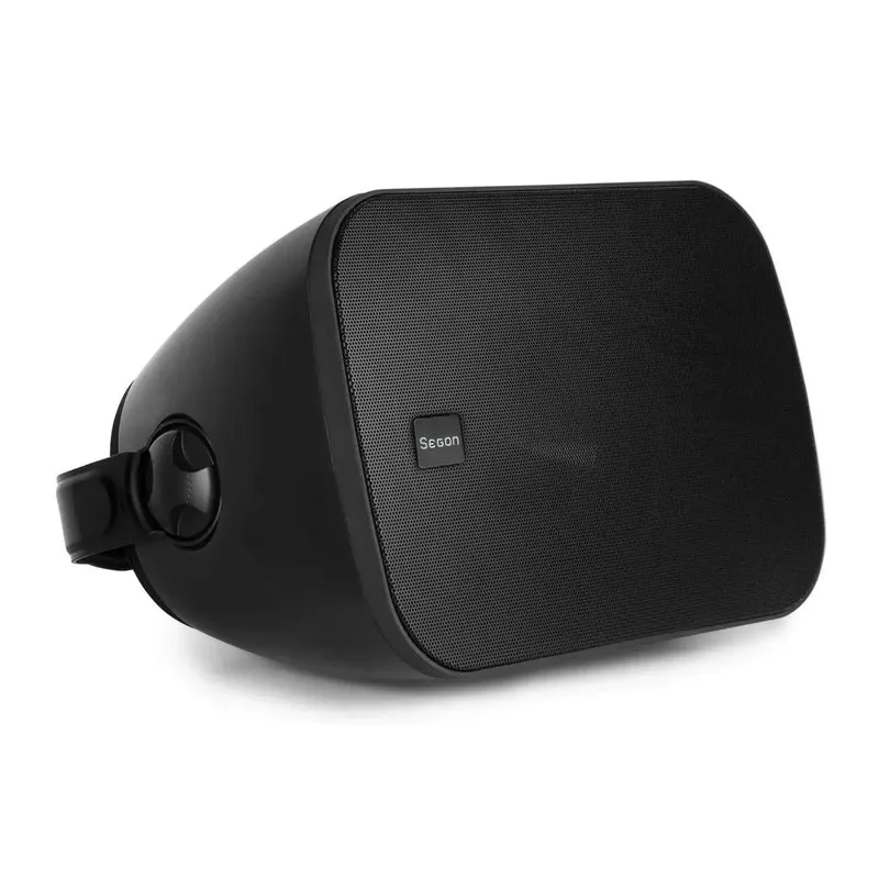 ENCEINTE MURALE 250W EN 2 VOIES BASS-RÉFLEX NOIRE