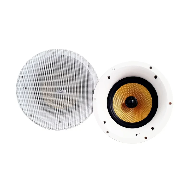 SET HAUT-PARLEURS PLAFOND ENCASTRABLES 120W