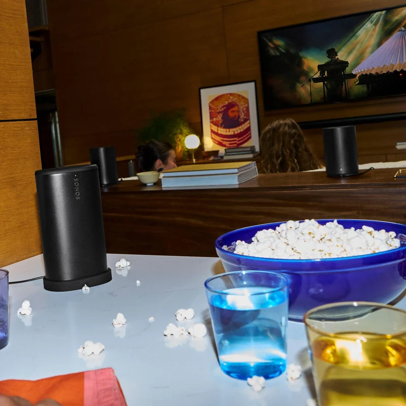 Enceinte portable à commande Vocale, WiFi, Bluetooth, résistant à l'eau, Sonos PLAYPUS1 - Noir