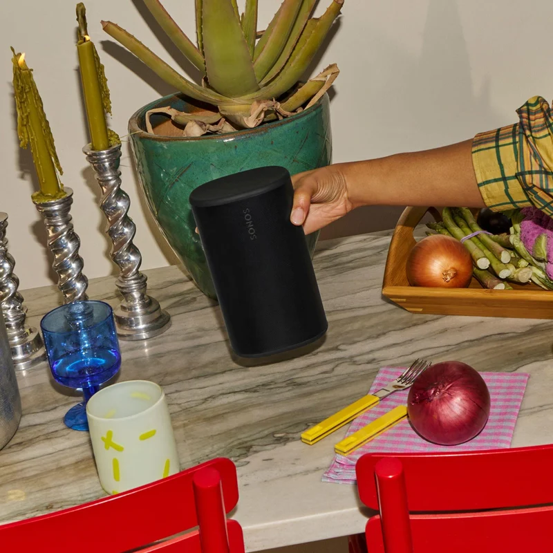 Enceinte portable à commande Vocale, WiFi, Bluetooth, résistant à l'eau, Sonos PLAYPUS1 - Noir