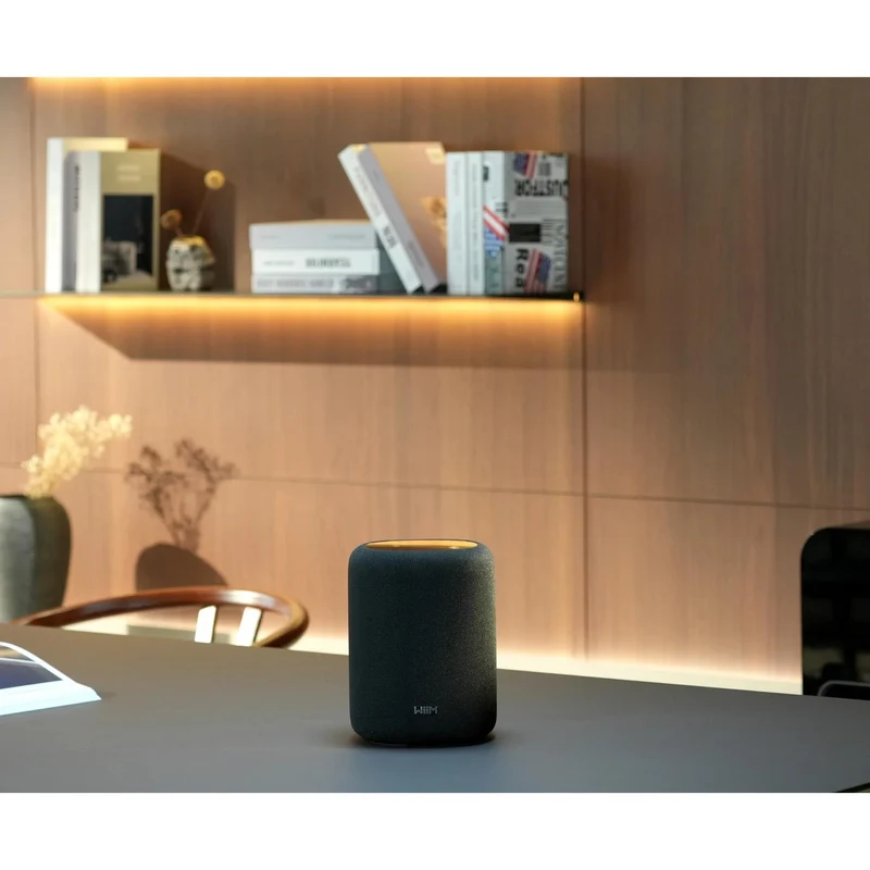 Enceinte multipièce sans fil Wi-Fi(Sans Écran ), WIIM WIIMSOUNDLITEB - Noir