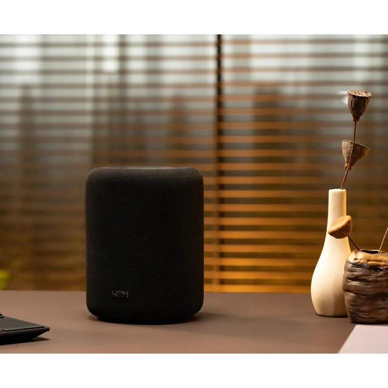 Enceinte multipièce sans fil Wi-Fi(Sans Écran ), WIIM WIIMSOUNDLITEB - Noir
