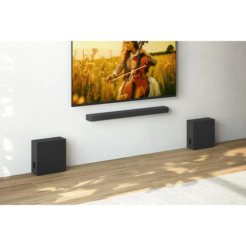 Caisson de grave 100 Watts, Sony SASW7