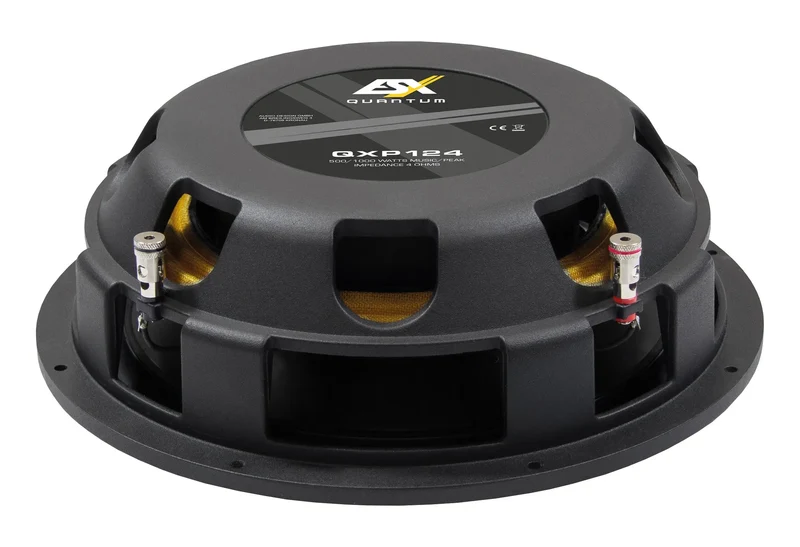 ESX QXP124 – Subwoofer 30 cm (12”) ultra-plat avec protection