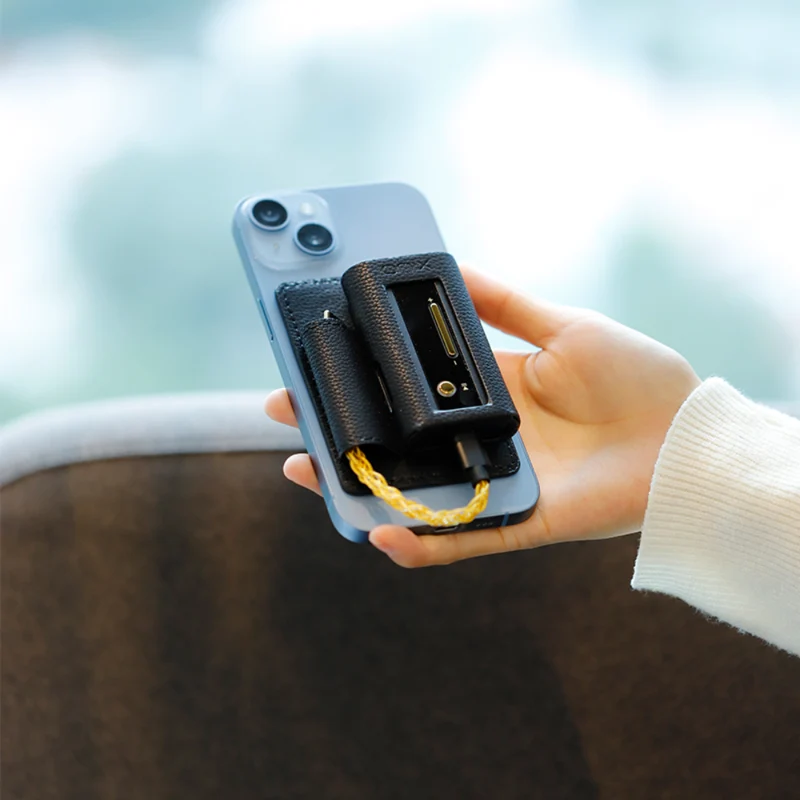 Beta XI2 Magnetic Case