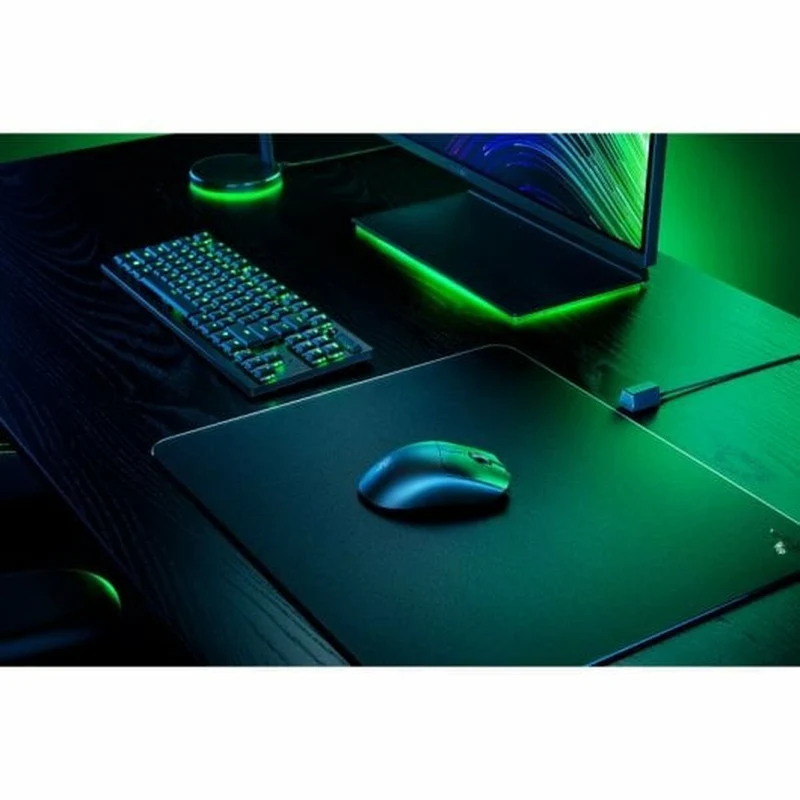 Souris de jeu LED Razer RZ01-04910100-R3M1