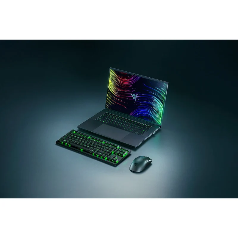 Souris de jeu LED Razer RZ01-04910100-R3M1