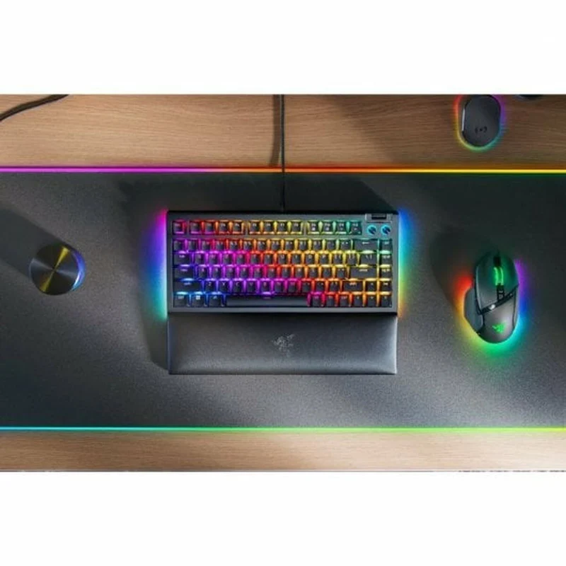 Casque avec microphone Razer RZ03-05000400-R3E1