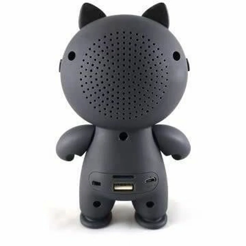 Enceinte portable Inovalley HP112 Noir