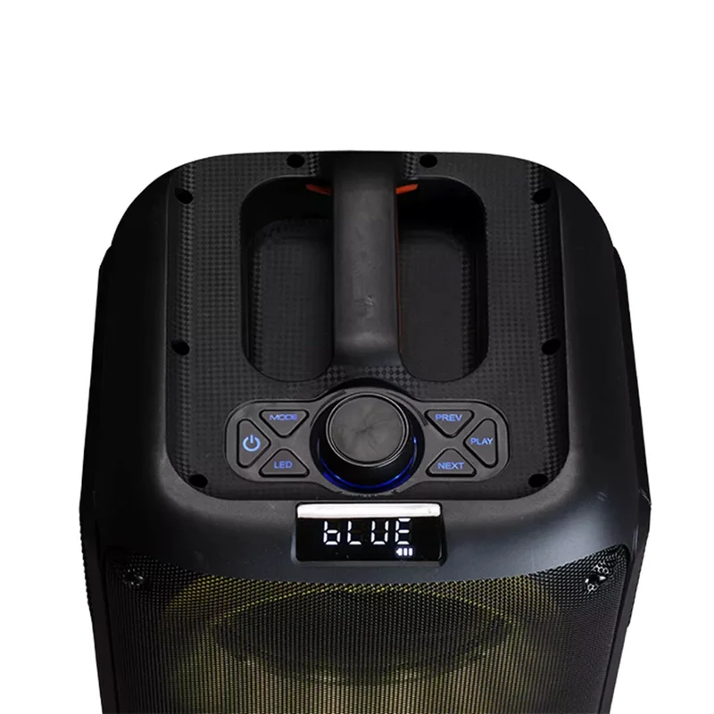 Haut-parleurs Bluetooth portables Denver Electronics