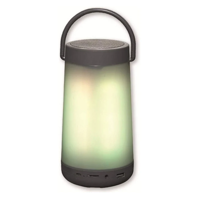Enceintes Bluetooth Denver Electronics 111151010720 Bluetooth 5 W LED RVB