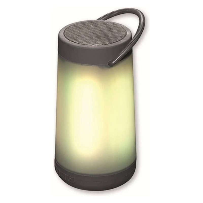 Enceintes Bluetooth Denver Electronics 111151010720 Bluetooth 5 W LED RVB