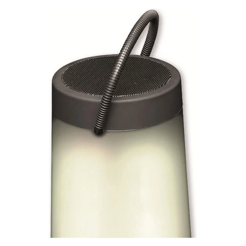 Enceintes Bluetooth Denver Electronics 111151010720 Bluetooth 5 W LED RVB