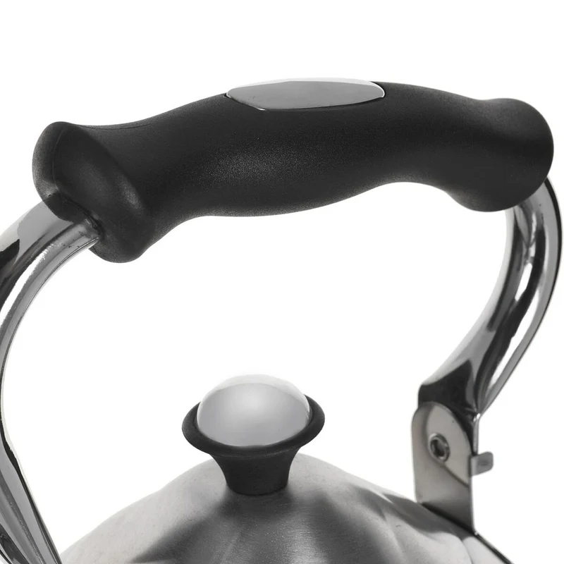 Bouilloire Feel Maestro MR-1305 Argent 3 L