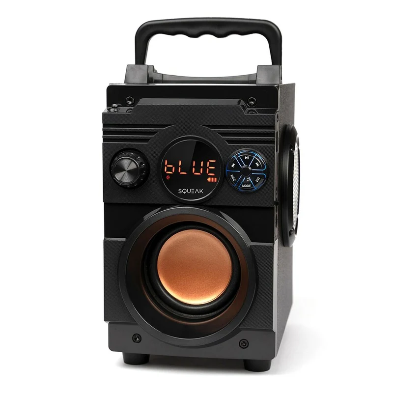Enceintes Bluetooth portables SQUEAK SQ1001 Noir 20 W