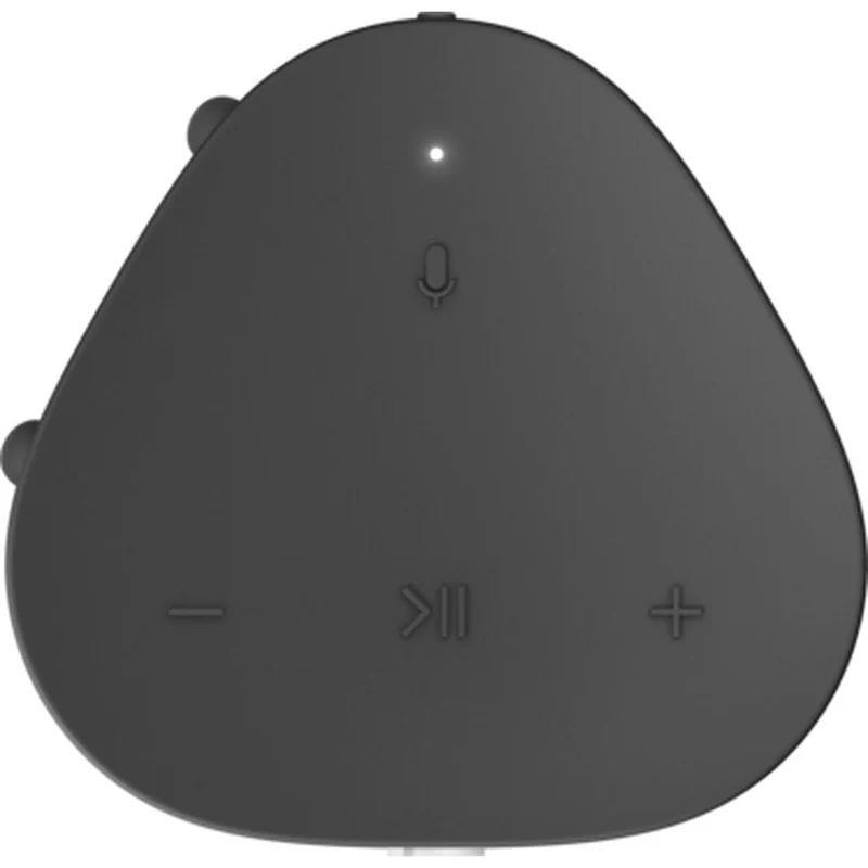 Enceinte Bluetooth sans fil Sonos Roam Noir