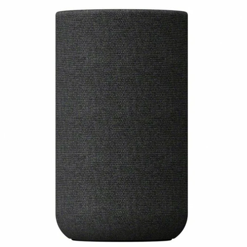 Enceintes Bluetooth portables Sony SA-RS5 Noir