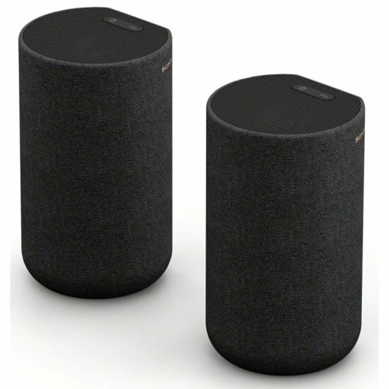 Enceintes Bluetooth portables Sony SA-RS5 Noir