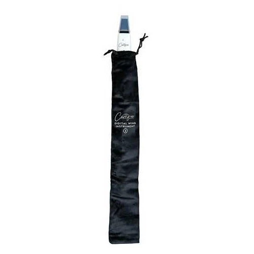 DIGITAL WIND INSTRUMENT 2 BLANC