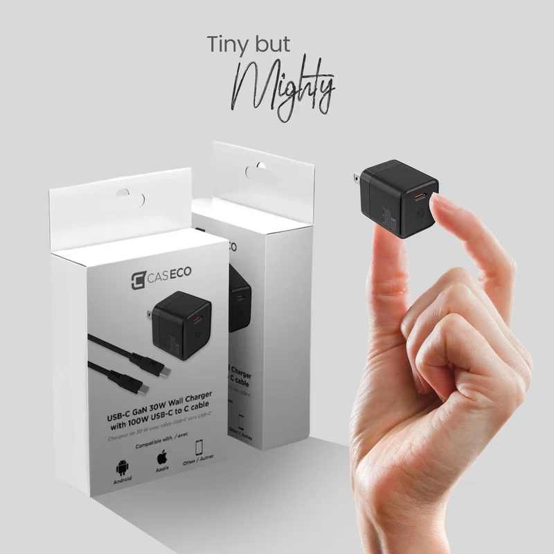 Chargeur mural 30W GaN avec câble 100W Type C vers Type C - Noir