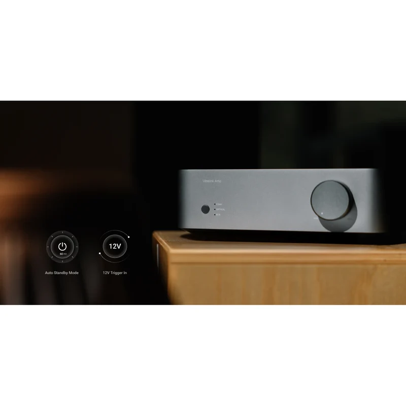 Vibelink Amp
