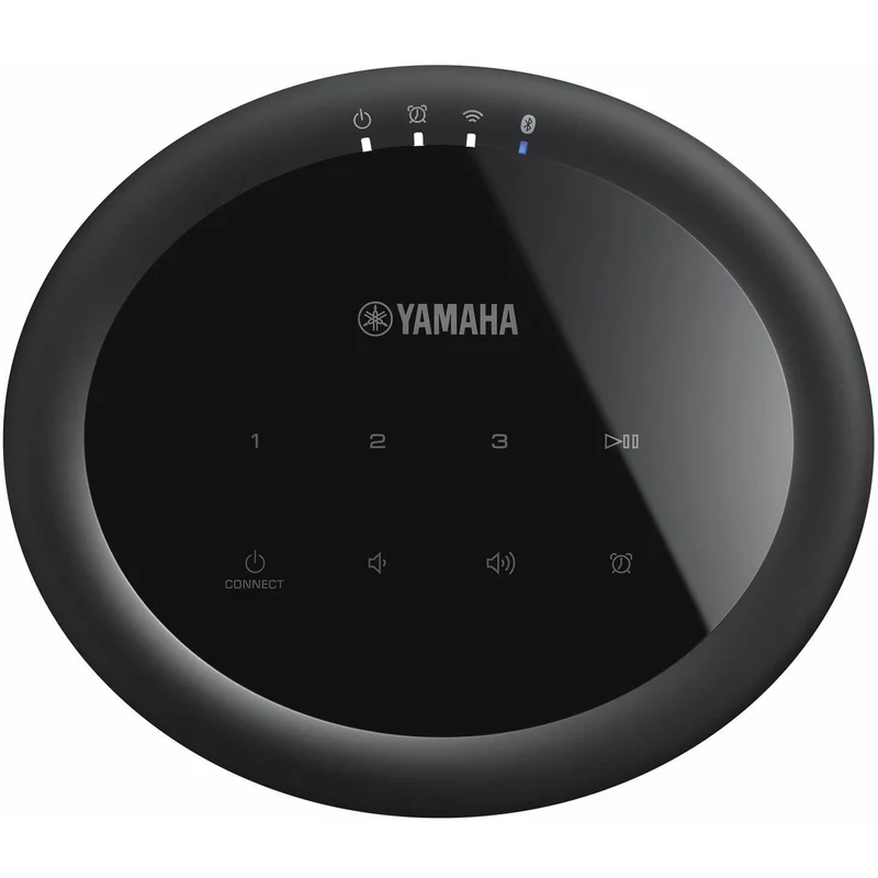 Enceinte Portable sans fil Bluetooth Wi-Fi, Yamaha Music Cast 20 - Noir