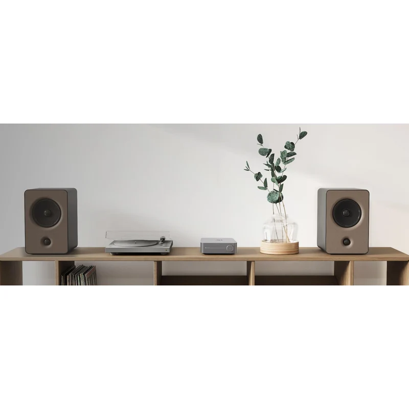 Amplificateur numérique 2X60W, WIIM WIIMAMP