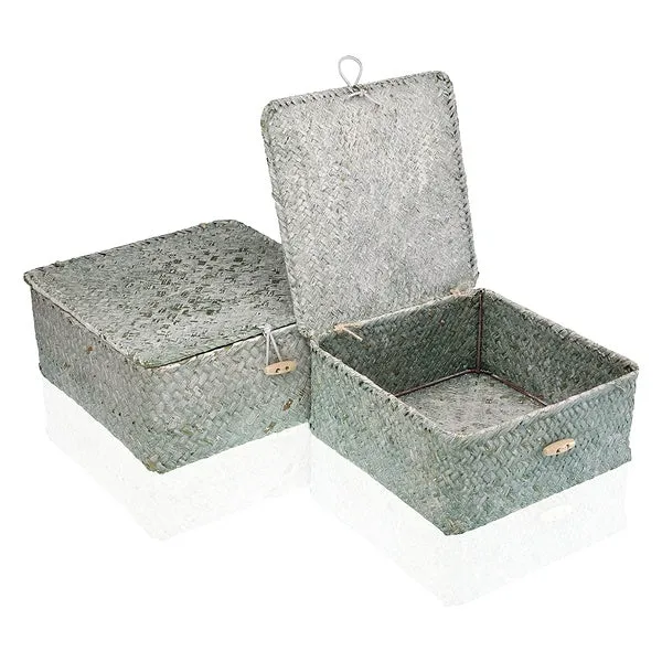 Basket set Marine algae (2 Pieces) (23 x 10 x 23 cm)