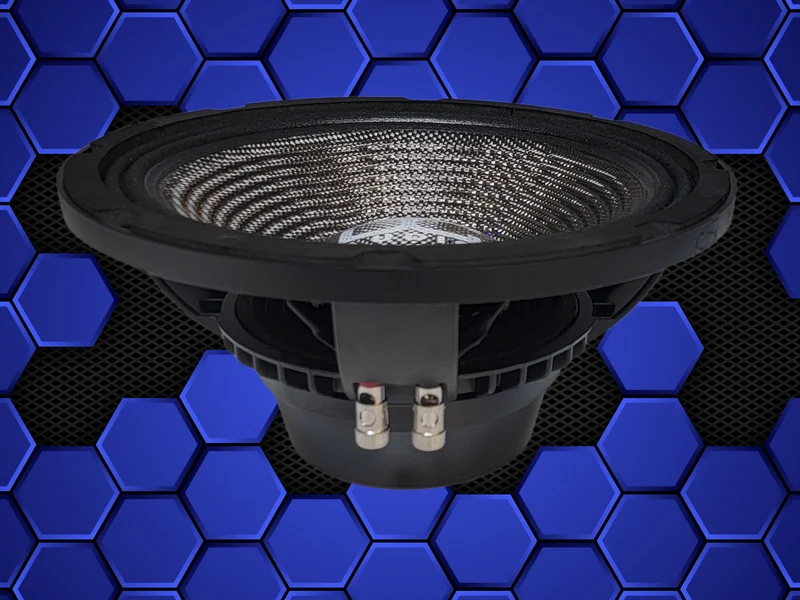 DC Audio NEO CF 10" Full Range Pro Audio