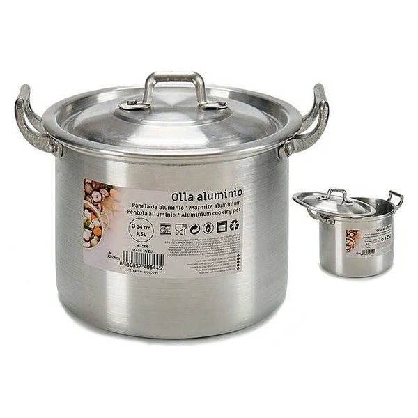 Slow Cooker Aluminium (16 x 14 x 18,5 cm)