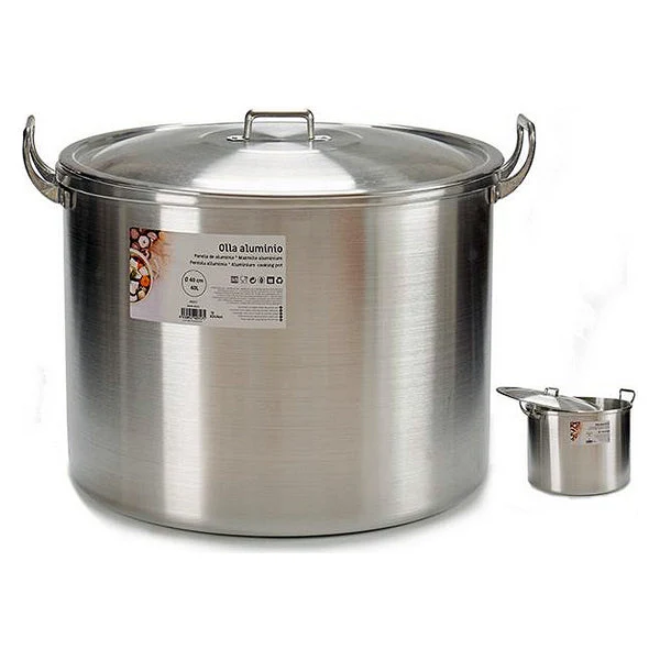 Slow Cooker Aluminium (40L) (43 x 34 x 53 cm) (53 x 34 x 43 cm)