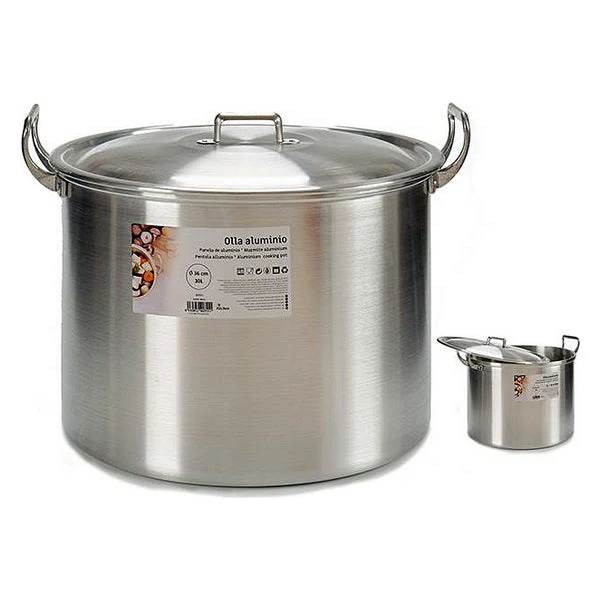 Slow Cooker Aluminium (30 L) (39 x 31 x 48,5 cm)