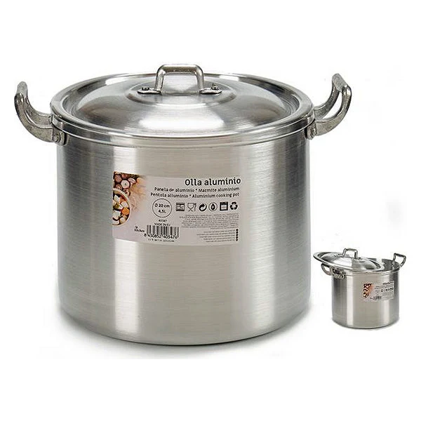 Slow Cooker Aluminium (22 x 18 x 26 cm)