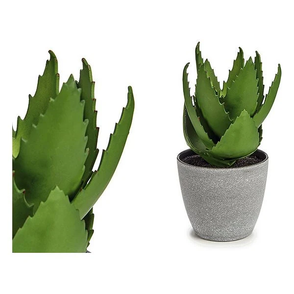 Decorative Plant Aloe Vera Plastic (14 x 23 x 14 cm)