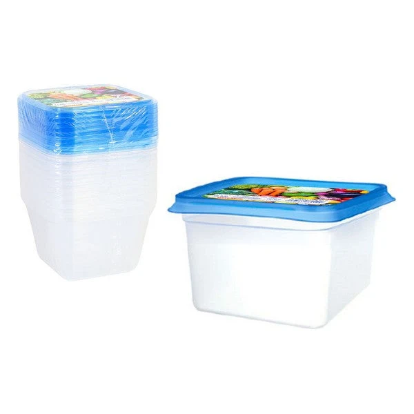 Set of 9 lunch boxes Privilege 550 ml