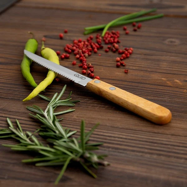 Knife Set Quid Carnivoro (21,5 cm)