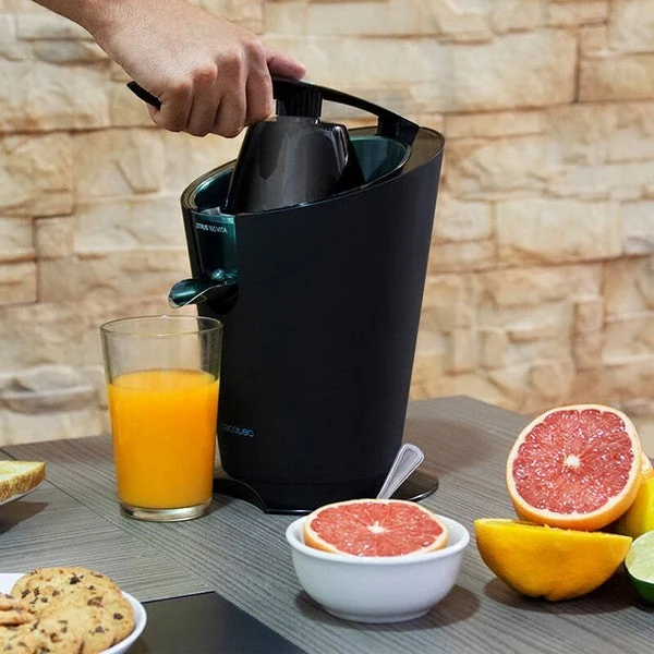 Electric Juicer Cecotec 160 Vita 160W Black
