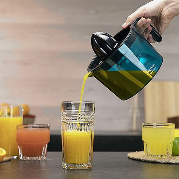 Electric Juicer Cecotec EssentialVita Adjust 1 L 40W Black