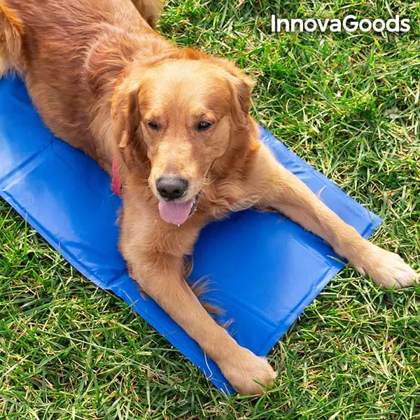 InnovaGoods Refreshing Pet Mat (90 x 50 cm)