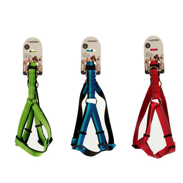 New Comers Strap (3,5 x 34 x 20 cm)