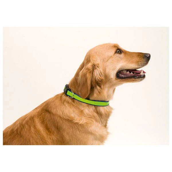 Walking collar 143063