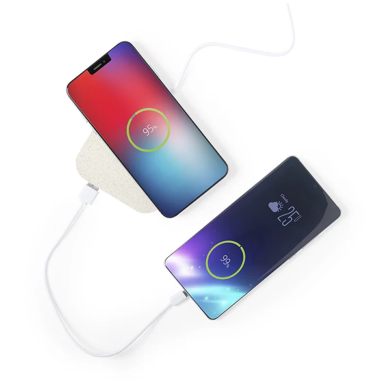 Chargeur sans fil 10w fabriqué en paille de blé et abs RIENS