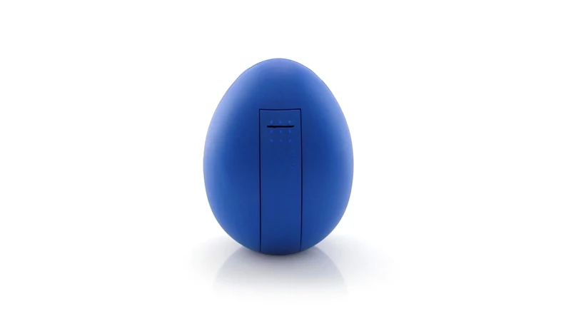 Minuteur digital ovale 100 minutes HOLLY