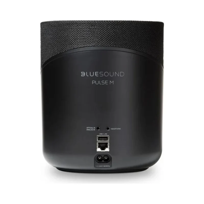 Bluesound Pulse M