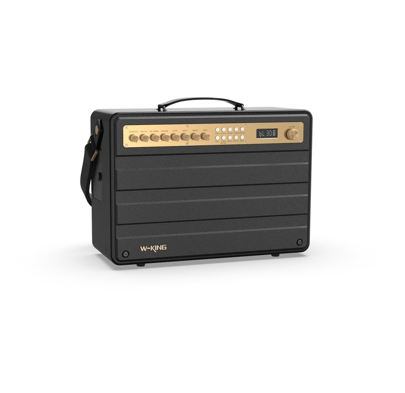 W-KING K6 Plus 200W RMS Portable Karaoke Speaker