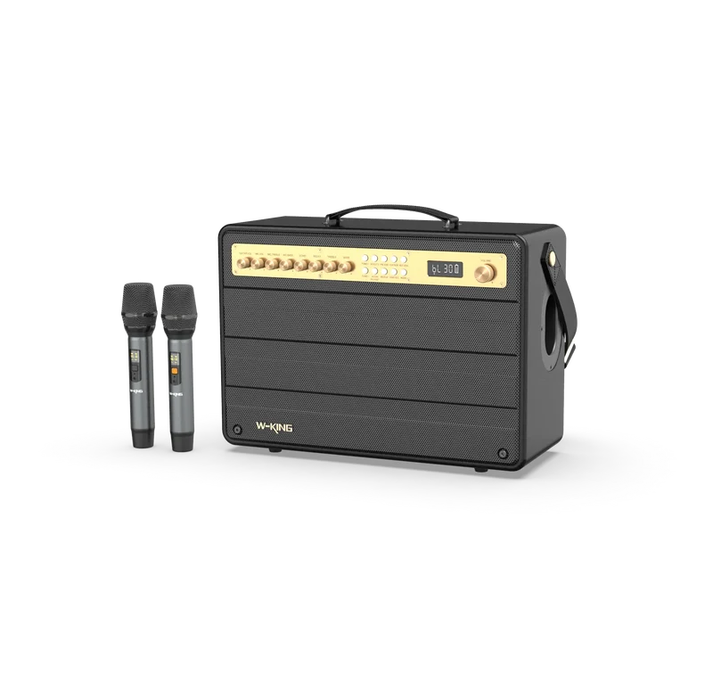 W-KING K6 Plus 200W RMS Portable Karaoke Speaker